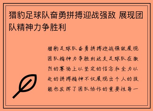 猎豹足球队奋勇拼搏迎战强敌 展现团队精神力争胜利