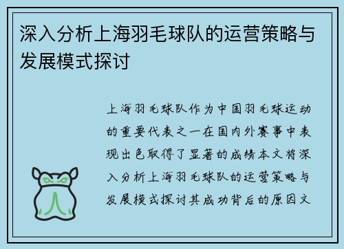 深入分析上海羽毛球队的运营策略与发展模式探讨